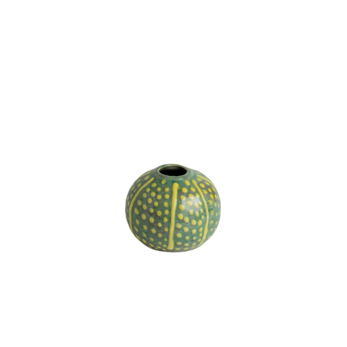 Sea Egg Vase